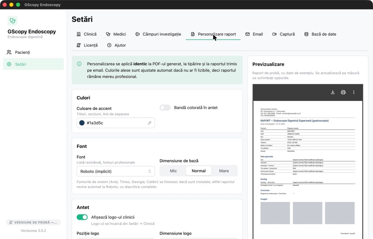 The Report customization page, with options on the left and the PDF preview on the right